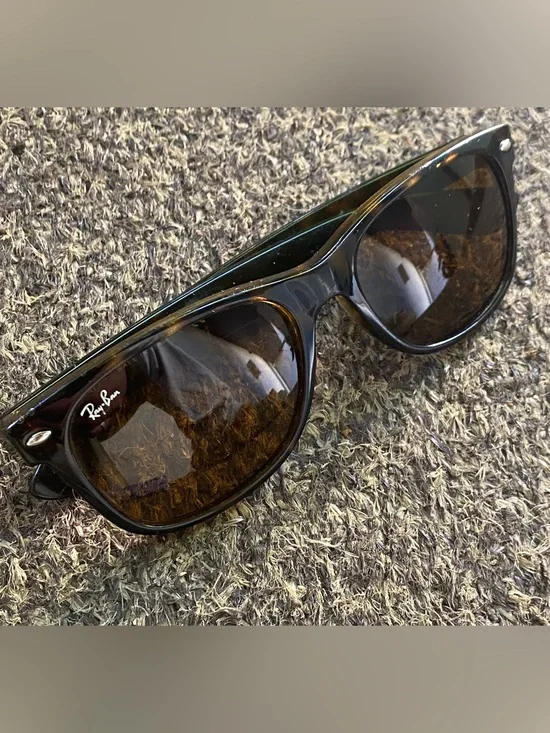 Ray-Ban Black Frame Sunglasses with Brown Lenses