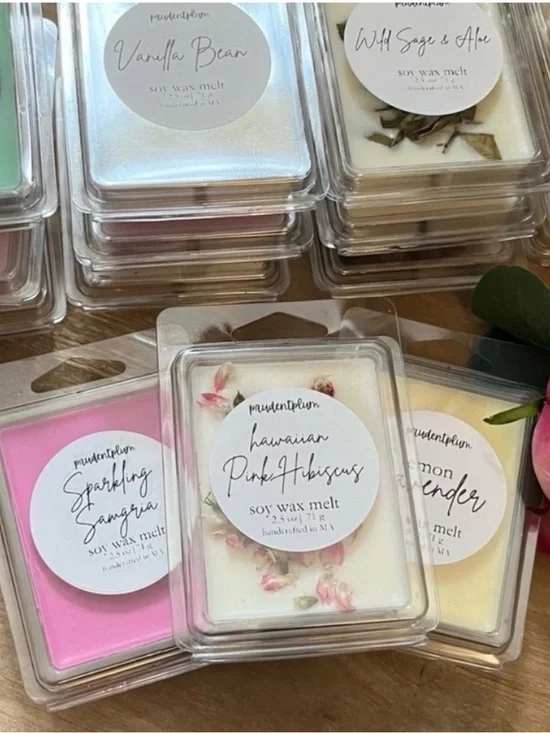 Juicy Watermelon Soy Wax Melt 2.5 oz | Melts For Wax Warmer Clamshell