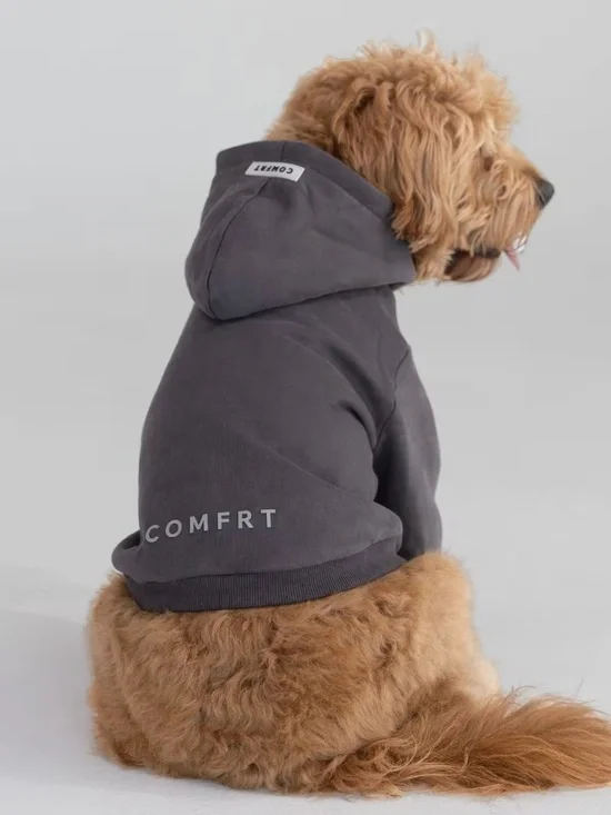 Comfrt Tranquil Paw Hoodie in Obsidian