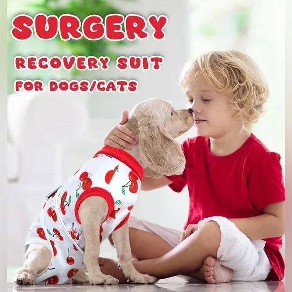 New-Large Recovery Suit After Surgery, E-Collar Cone Alternative Prevent Licking