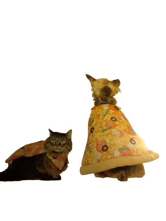 Pizza Slice Costume Dog Cat Pet Halloween Outfit M Medium