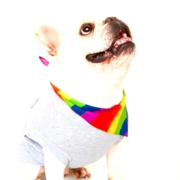 Old Navy Dog Bandana - Rainbow Stripes NWT
