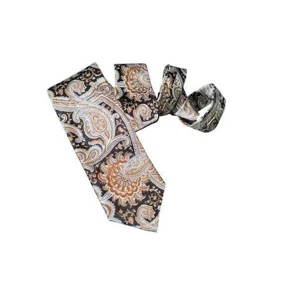 Paul Fredrick Silk Tie Paisley‎ Italy Classic Multicolor Necktie Business Formal