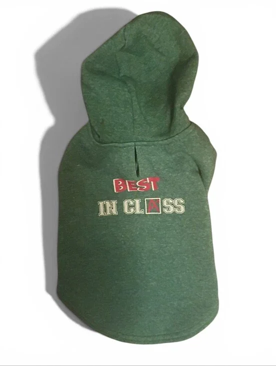 Youly Heather Green Dog Hoodie - Best In Class Graphic Pullover