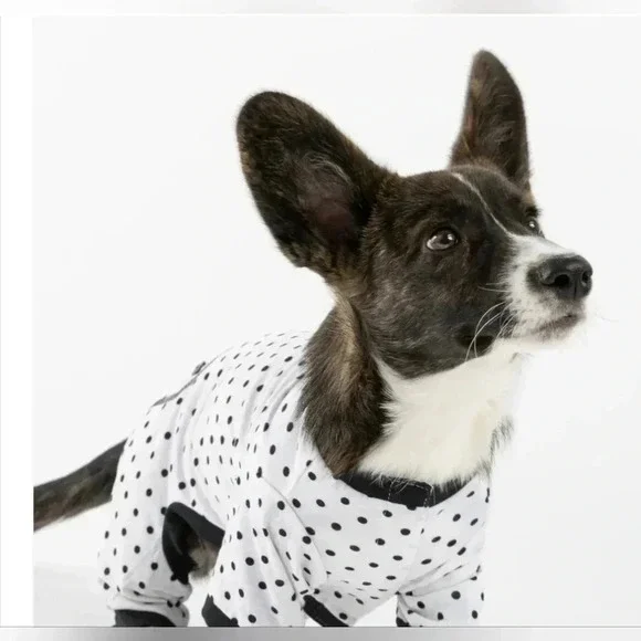 Silver Paw dog pajamas size Medium Polka Dots NWT