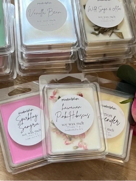 Summer Scoop Soy Wax Melt 2.5 oz | Melts For Wax Warmer Clamshell