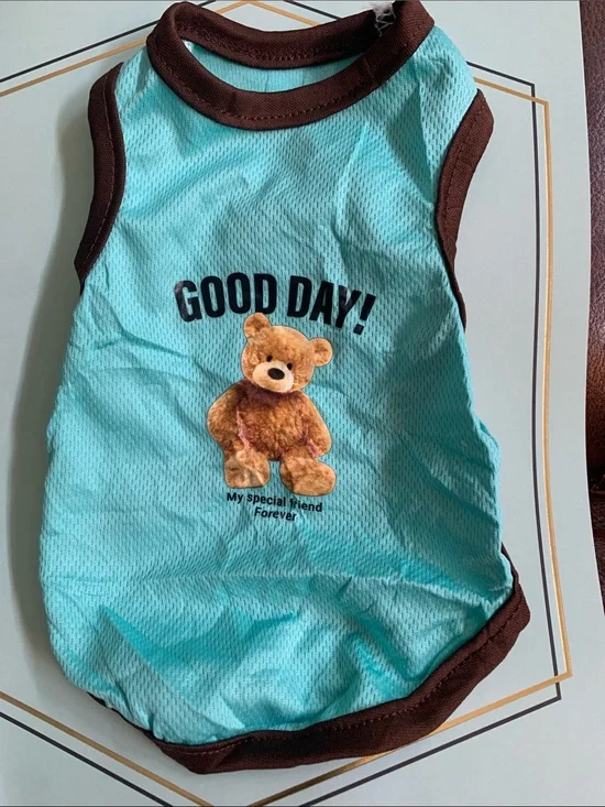 GOOD DAY! Teddy Graphic Aqua Dog Tank with Brown Trim and assorted colors