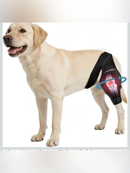 Dog Knee Brace For Torn ACL/CCL & Hind Leg Support - XL 1071/bb6