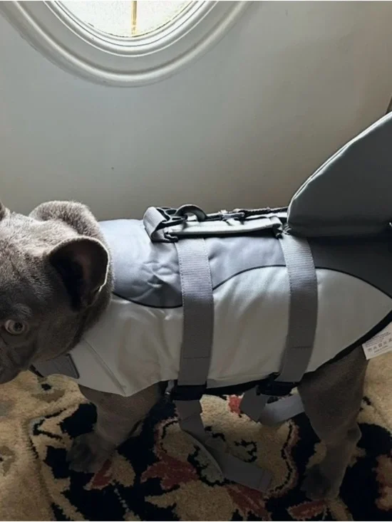 Dog Life Jacket - Gray Pet Safety Vest Never Worn