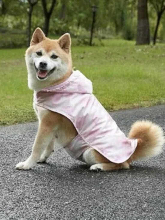 Koolaburra by UGG York Hooded Raincoat for Dogs Pets Pink Cloud Size Medium NWT