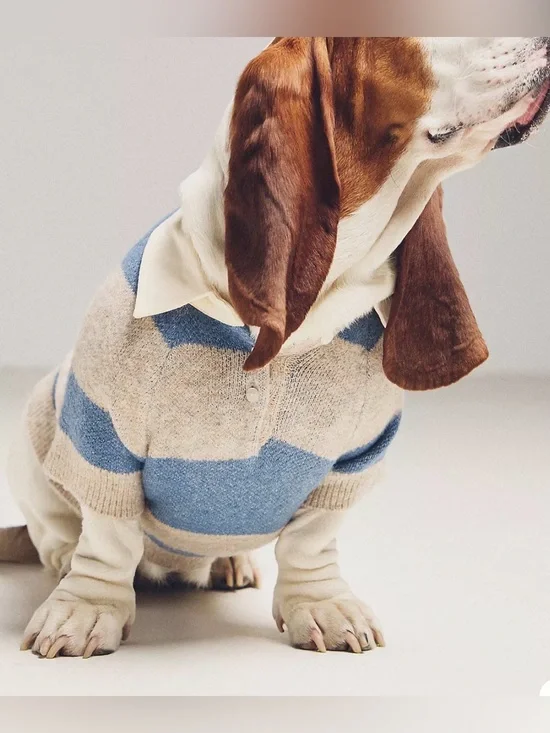 Furb By Anthropologie Striped Rugby Pet Sweater Sz L