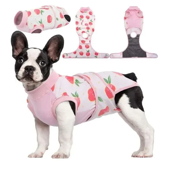 Dog Recovery Suit