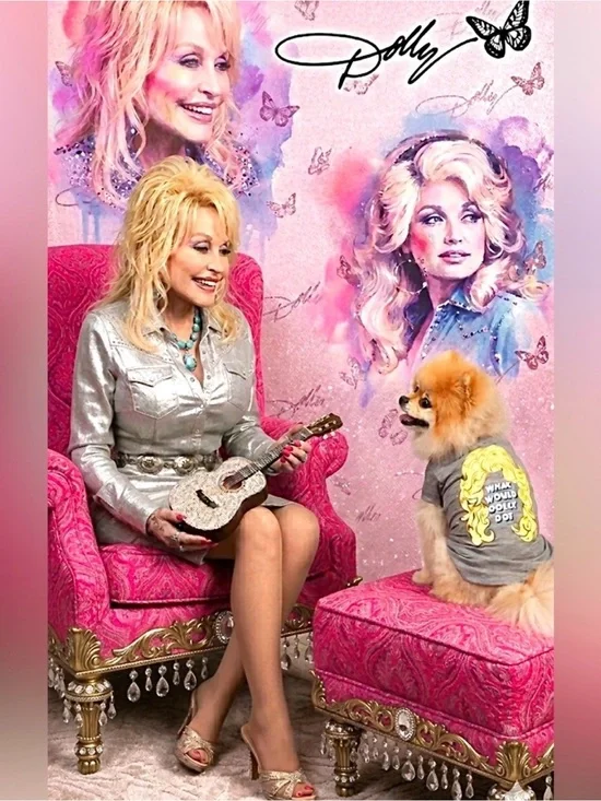 Doggy Parton What Would Dolly Do? T Shirt Gray