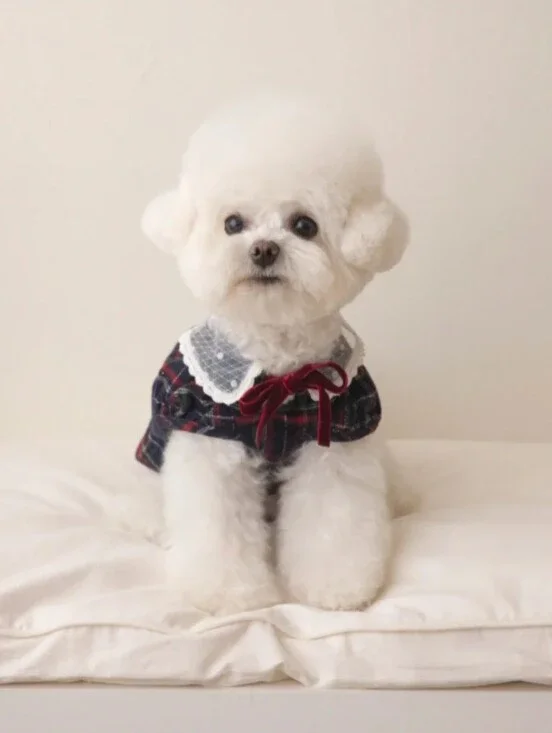 Plaid Lace-Collar Dog Dress with Velvet Bow - White & Red