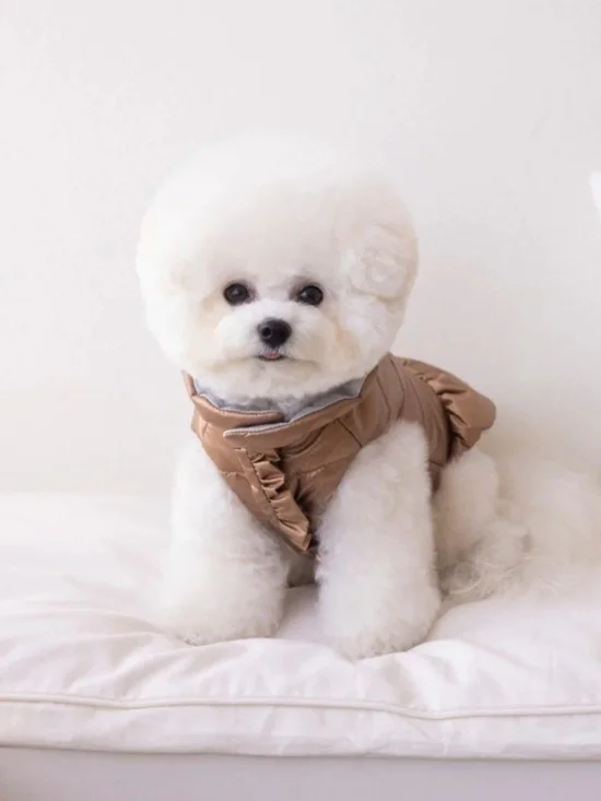 Metallic Bronze Ruffle Dog Puffer Jacket Dress