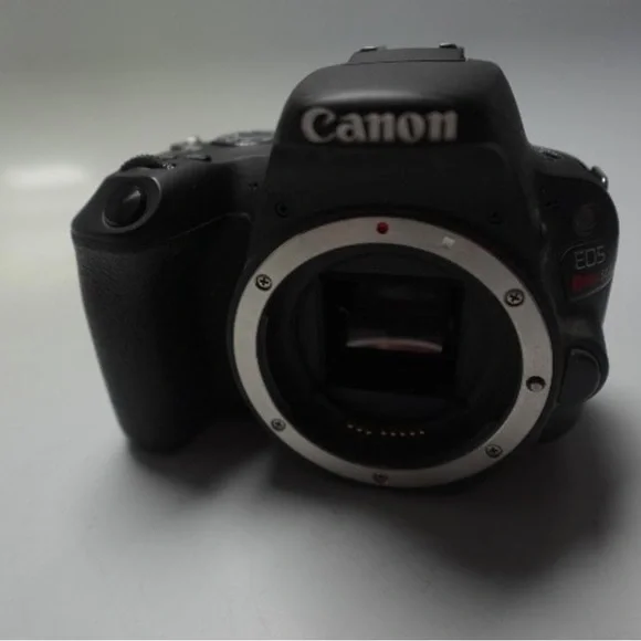 Canon Black and Silver DSLR Camera Body