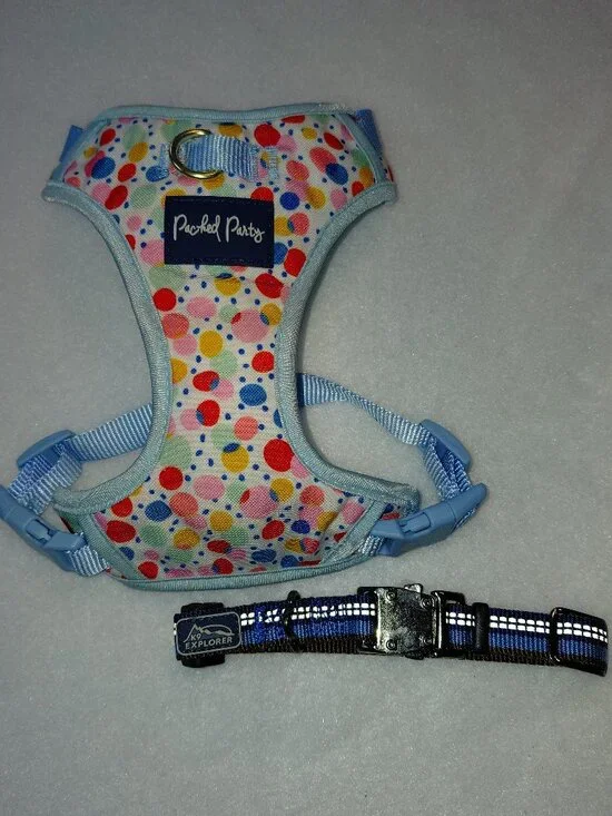 Packed Party Dog Harnes Sz Small (10-20 lbs) & Coastal K9 Explorer Collar 8-12