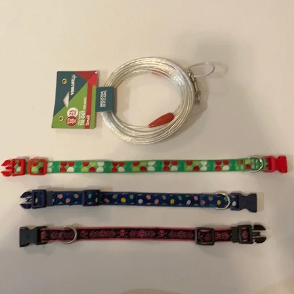 Dog Collar and Small Tie-Out