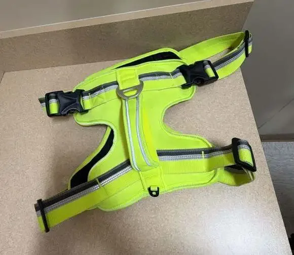 Arcadia Trail Neoprene Padded Reflective Dog Harness - Neon Yellow