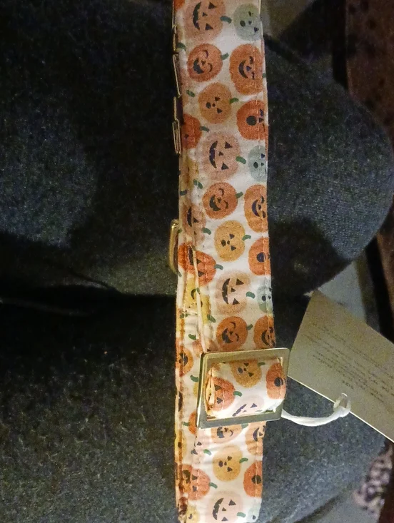 Halloween Pumpkin Print Dog Collar 🎃