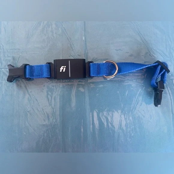 Fi Blue Dog Collar
