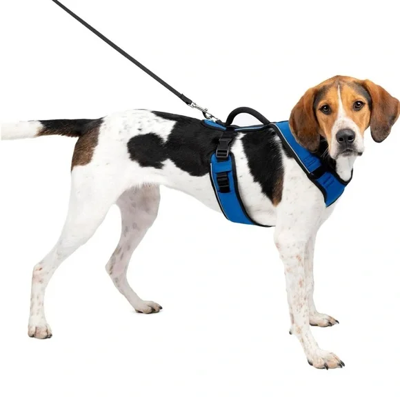 EASYSPORT  Harness