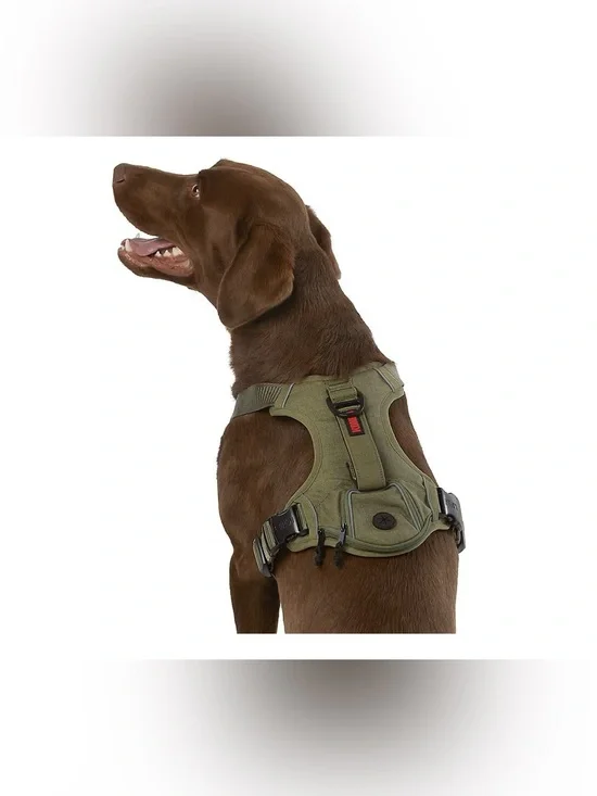 Dog Harness (M)