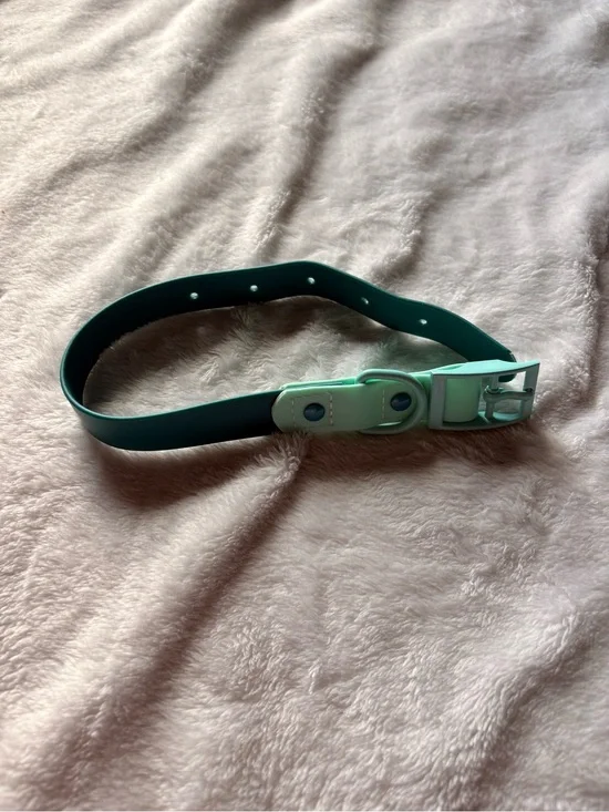 Mint and Teal Adjustable BioThane Dog collar