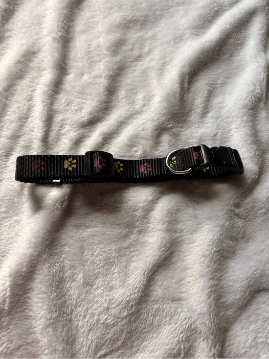 Black Nylon Dog Collar with Pink & Yellow Paw Prints