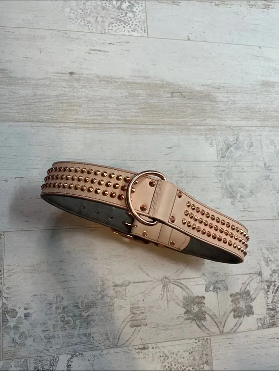 Petco Pink and Rose Gold Studded Dog Collar