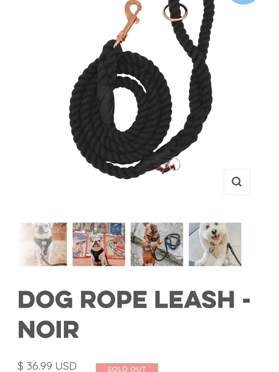 Noir Black Rope Dog Leash with Rose Gold Hardware