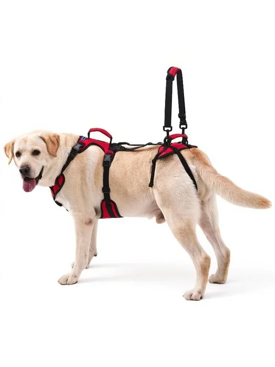 Lafoty Lift Harness Extra Large Dog, Heavy Lifting Support Dual Handles Strong