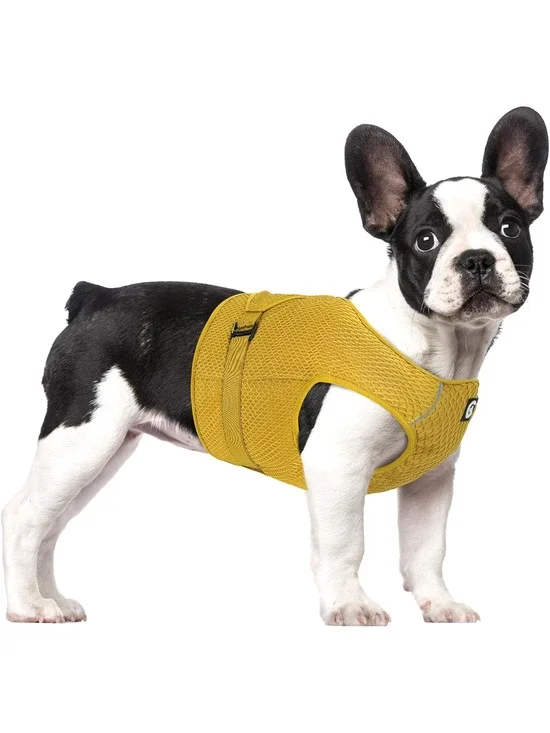 Dog Cooling Vest Harness Lightweight Cooler Jacket Sz Med w Adjustable Buckle