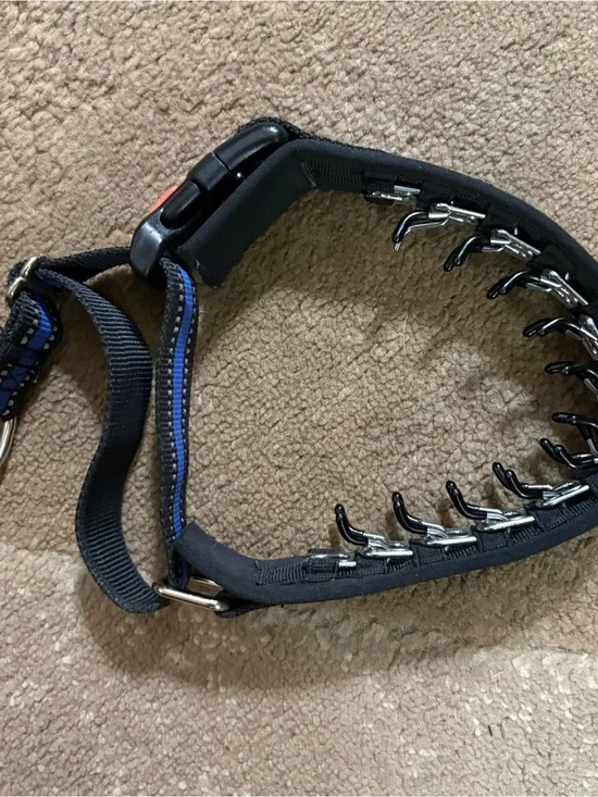Adjustable Black & Blue Grooming Spike Collar - Black