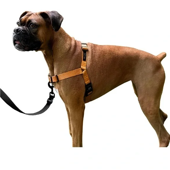 ShawnCo Dream Walk No-Pull Dog Harness- Adjustable,  small new