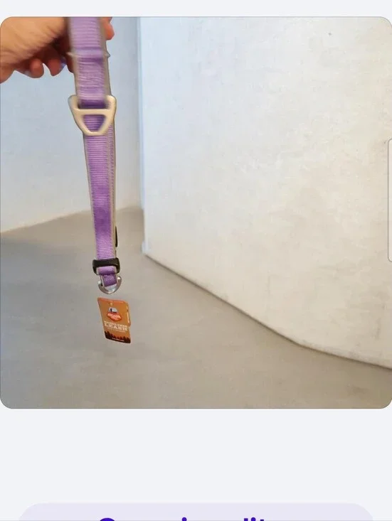 Arcadia Purple Hands Free Leash ■ Nwt