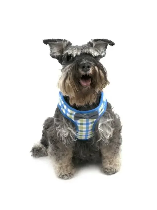 Vibrant Life Blue and Green Plaid Bow Tie Harness Size Small