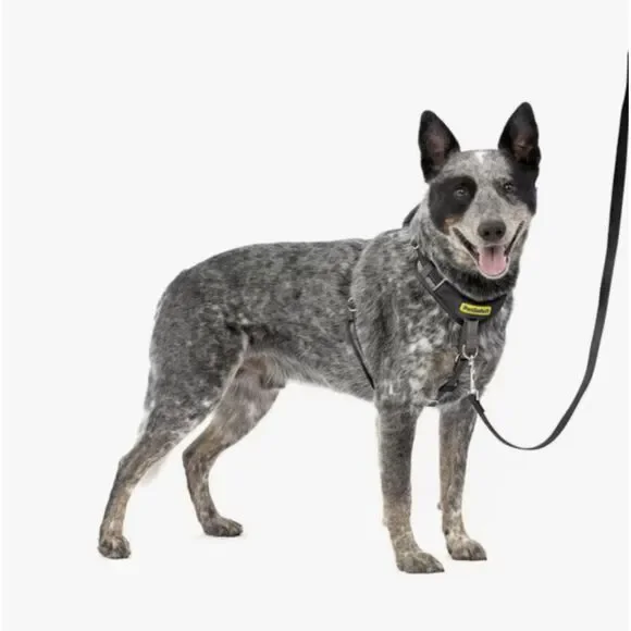 PetSafe Easy Walk Comfort Reflective No Pull Dog Harness Black M/L 24-34