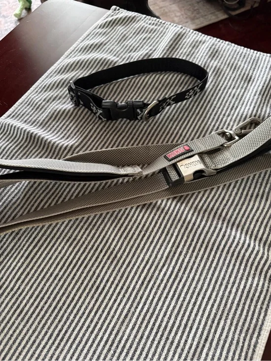 KONG Gray Reflective Dog Leash with Silver Clip and Lupine collar.