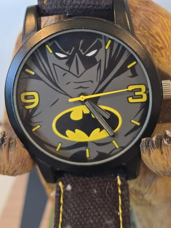DC Comics BAT9040 Stainless Steel Batman Watch with Canvas Strap
