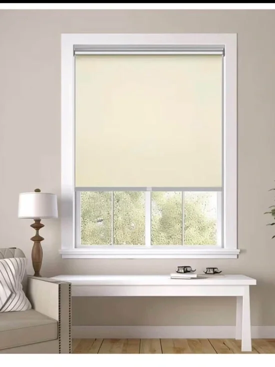 Changshade Blackout Roller Shades for Windows, Room Darkening Thermal