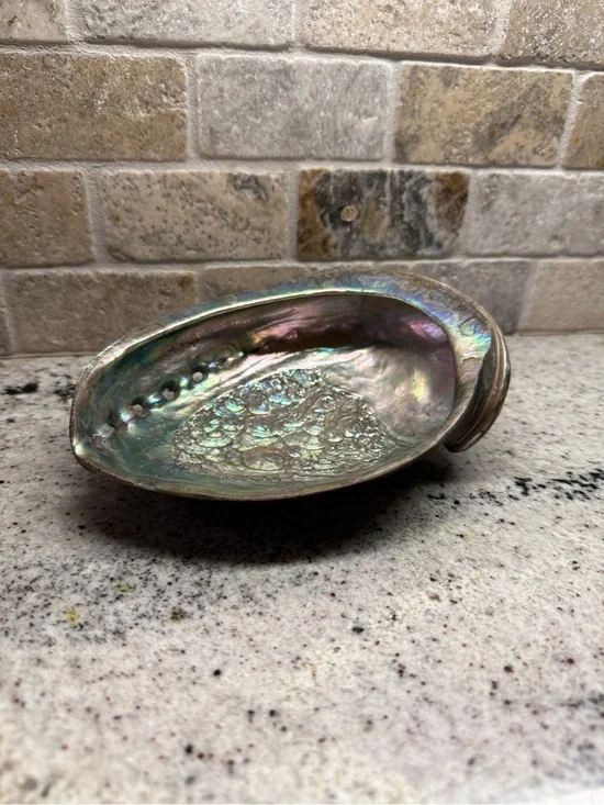 Large Iridescent Abalone Shell Bowl