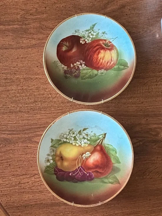 Set of 2 Hand Painted Vintage Bavarian Ceramic Fruit Plates with Gold Rim 9.5