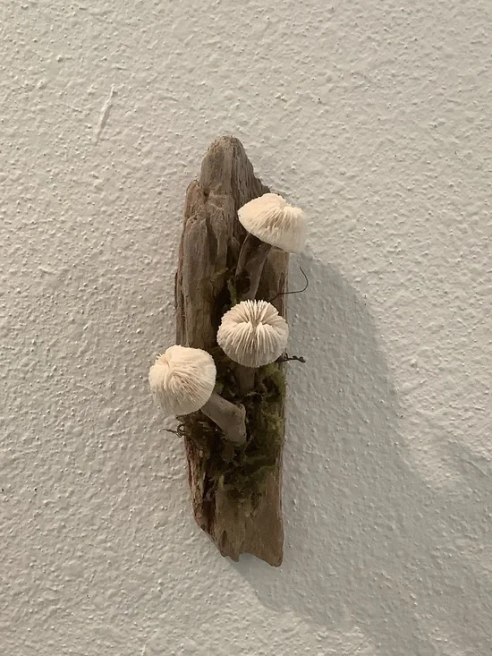 Driftwood Art, Driftwood and Coral Mushrooms, Mushroom Art, Coastal Art