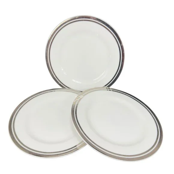 2005 Royal Doulton Pure Platinum Double Silver Band Plate Dish 7.5inch Set‎ 3