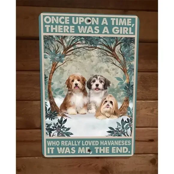 Once Was a Girl That Loved Havaneses Dogs 8x12 Metal Wall Sign Animal‎ Poster
