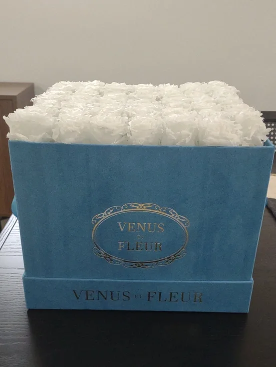 Venus et Fleur White Roses in Blue Velvet Box