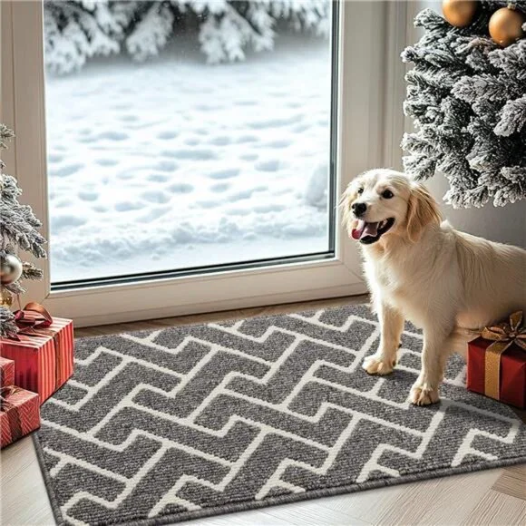 Indoor Doormat,Front Back Door Mat Rubber Backing Non Slip Door Mats,20