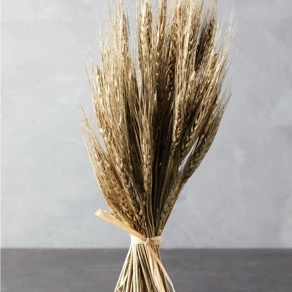 NWT Terrain Sheaf Triticum Champagne Shimmer Bunch 17 inches