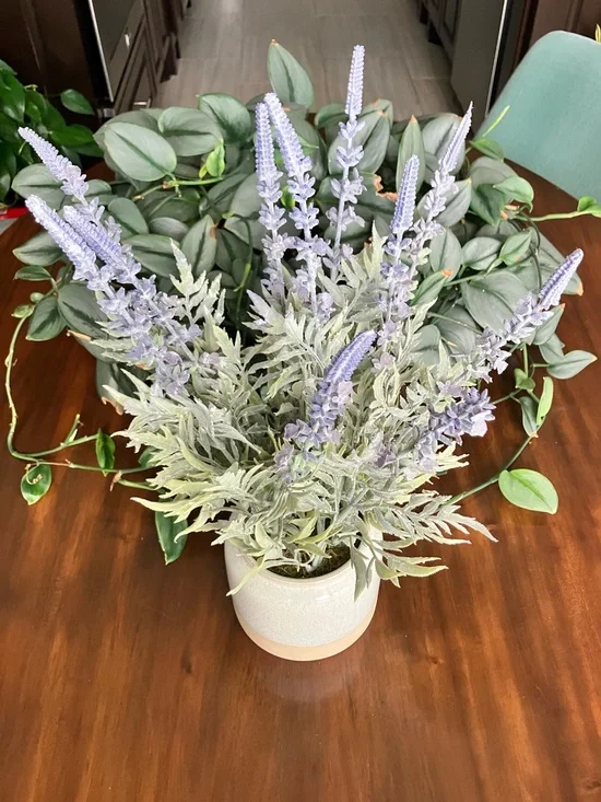 NWT Sonoma The Manor Flower Shop Decorative Artificial Lavender in Ceramic Pot